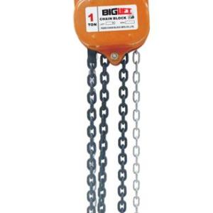 BIGLIFT BIGCAR1-5 BIGLIFT CARASKAL 1 Ton*5 mt.